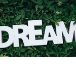 Dream smp fans not real