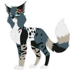 Warrior Cat RPs And Contest!