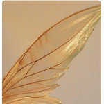 -Paigee’s rainbows-