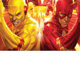 the flash testing
