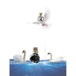 swans home