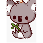 Koalas Names!