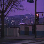 Night Division