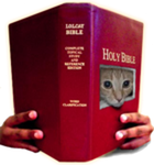 CULT OF THE LOLCAT