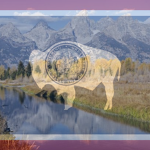 The State of Wyoming