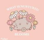 Pusheen squad <33