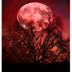 Vampp<3