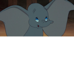 Elephant-squad