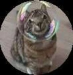 Omgees thank you!??!?!?!