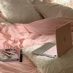🛼