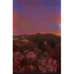 _ A̶e̶s̶t̶h̶e̶t̶i̶c̶s̶ _