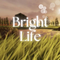 Bright Life [Realistic] icon