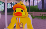 DUCKIES!