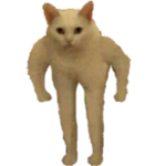 hweartzs