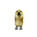 king noob R$