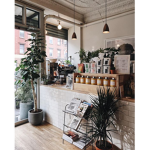 ~ The Meme Café ~