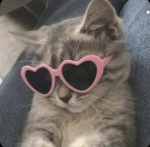 SwaggieSqaud