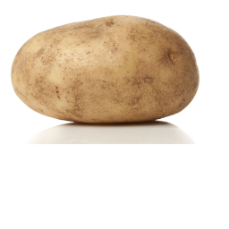Potato Tycoon!