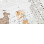 THIS IS FOR GIVING ROBUX TO FRIENDS#