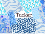 The tucker’s clothing store