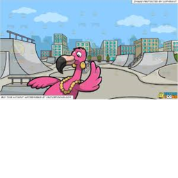 Flamingo's Skate Park.