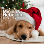 Mininos Rebelion