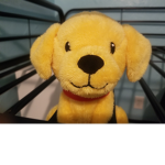 TEAM DOGE!!!!!!!!!