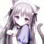 pawcytto