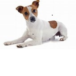 FACU