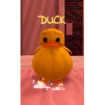 !*Ducky Friends*!