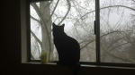 Lamadjo