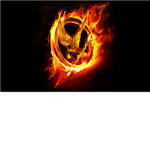 Love The Hunger Games?