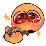 For my friends hshshahshhxhz