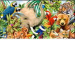 Animals And Fiends