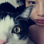 Amor a los gatoooos