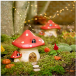 Mushrooms and meowmeau