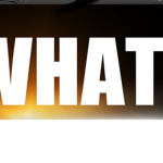 What the spider