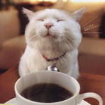 Coffee’s Filming Crew