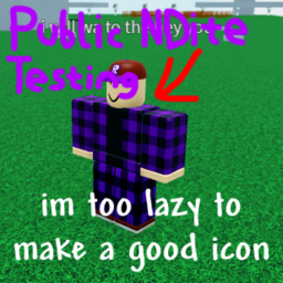 Public NDite Testing