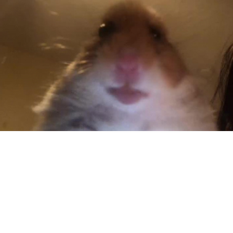 - QNA-