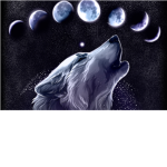 Tribe Of The Wolfs