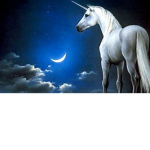 the unicorn world