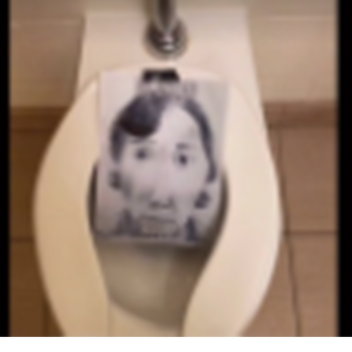 the rock simulator (whip)