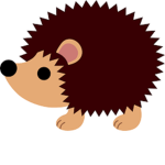 Havanna's Hedgehog's