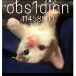 obs1dian