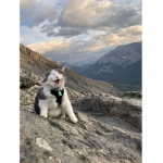 ˏˋ- mountain’clan -ˏˋ