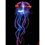 THE JELLYFISH CLUB!!!