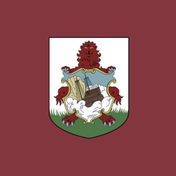 Saint David Island icon