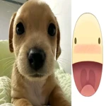 love loks Group Thumbnail