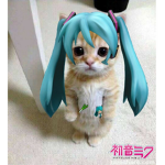 miku01